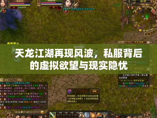 天龙江湖再现风波，私服背后的虚拟欲望与现实隐忧