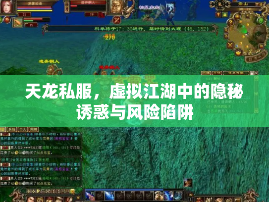 天龙私服，虚拟江湖中的隐秘诱惑与风险陷阱