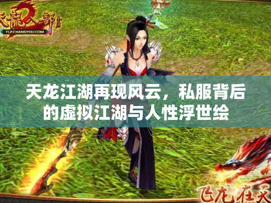 天龙江湖再现风云，私服背后的虚拟江湖与人性浮世绘