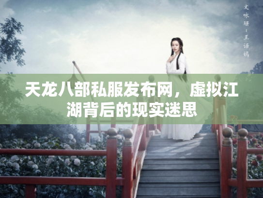 天龙八部私服发布网，虚拟江湖背后的现实迷思