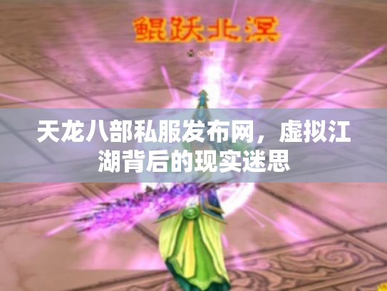 天龙八部私服发布网，虚拟江湖背后的现实迷思