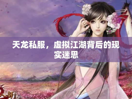 天龙私服，虚拟江湖背后的现实迷思