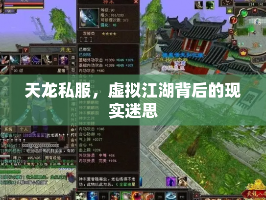 天龙私服，虚拟江湖背后的现实迷思