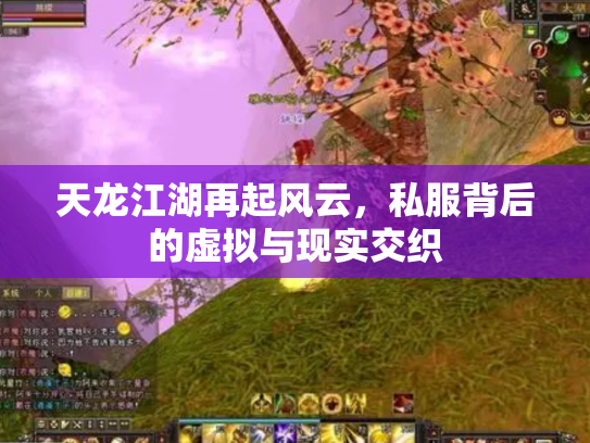 天龙江湖再起风云，私服背后的虚拟与现实交织
