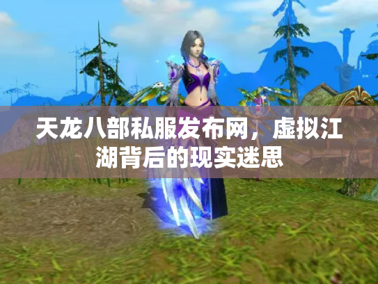 天龙八部私服发布网，虚拟江湖背后的现实迷思