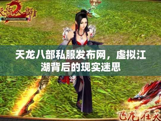 天龙八部私服发布网，虚拟江湖背后的现实迷思