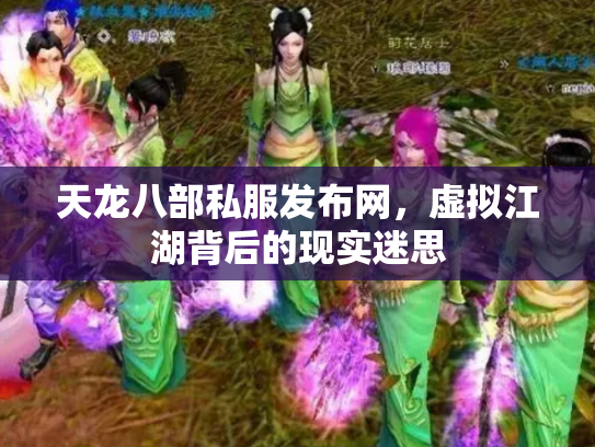 天龙八部私服发布网，虚拟江湖背后的现实迷思