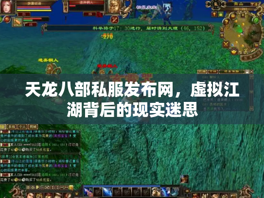 天龙八部私服发布网，虚拟江湖背后的现实迷思