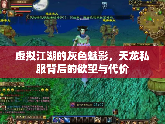 虚拟江湖的灰色魅影，天龙私服背后的欲望与代价