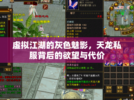 虚拟江湖的灰色魅影，天龙私服背后的欲望与代价