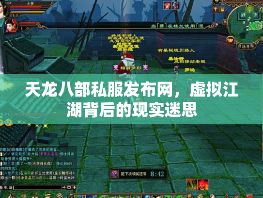 天龙八部私服发布网，虚拟江湖背后的现实迷思