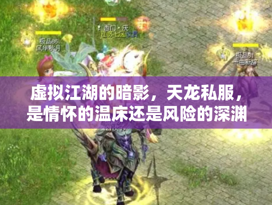 虚拟江湖的暗影，天龙私服，是情怀的温床还是风险的深渊？