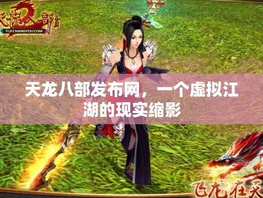 天龙八部发布网，一个虚拟江湖的现实缩影