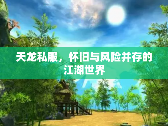 天龙私服，怀旧与风险并存的江湖世界