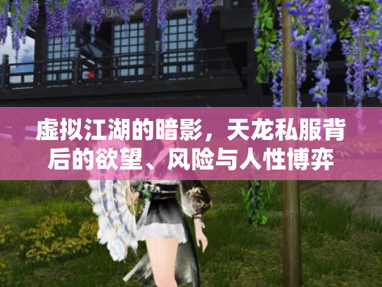 虚拟江湖的暗影，天龙私服背后的欲望、风险与人性博弈
