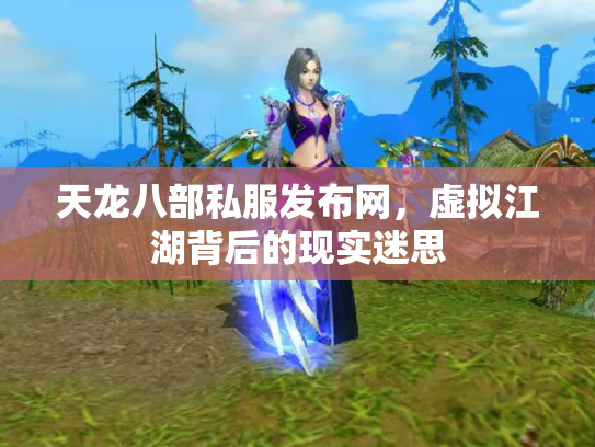 天龙八部私服发布网，虚拟江湖背后的现实迷思