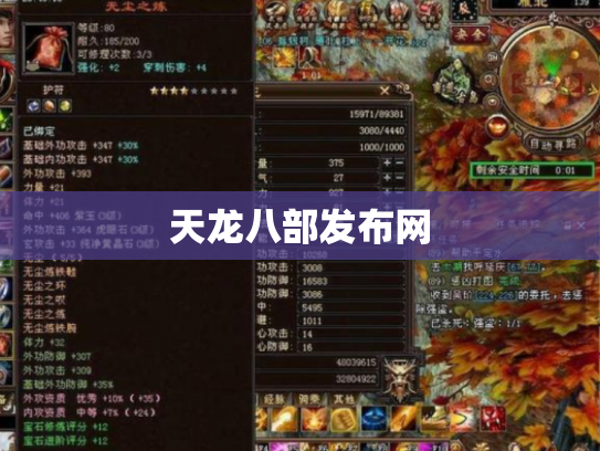 天龙八部发布网