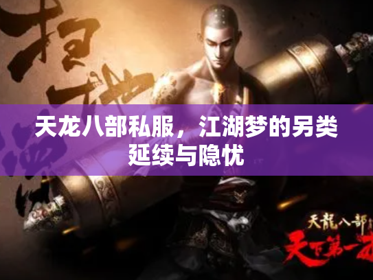 天龙八部私服，江湖梦的另类延续与隐忧