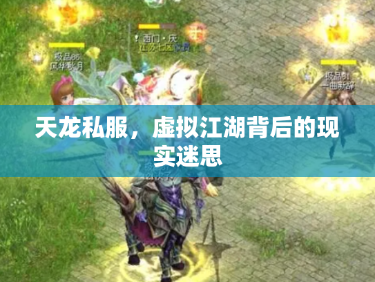 天龙私服，虚拟江湖背后的现实迷思