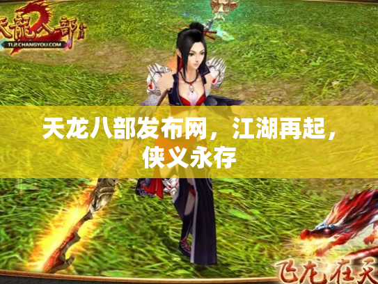 天龙八部发布网，江湖再起，侠义永存