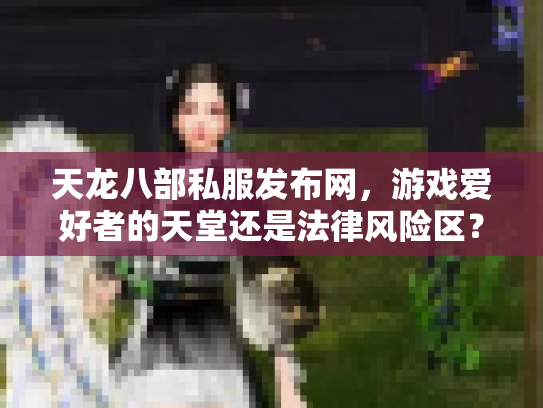 天龙八部私服发布网，游戏爱好者的天堂还是法律风险区？