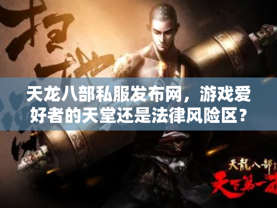 天龙八部私服发布网，游戏爱好者的天堂还是法律风险区？