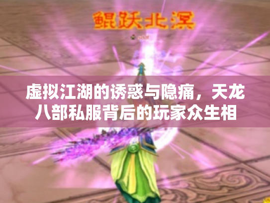 虚拟江湖的诱惑与隐痛，天龙八部私服背后的玩家众生相