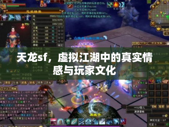 天龙sf，虚拟江湖中的真实情感与玩家文化