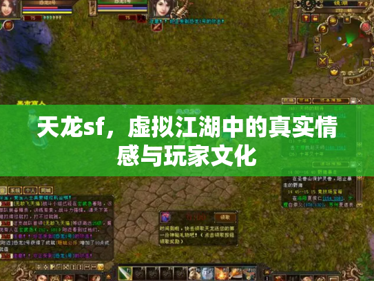 天龙sf，虚拟江湖中的真实情感与玩家文化
