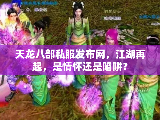 天龙八部私服发布网，江湖再起，是情怀还是陷阱？