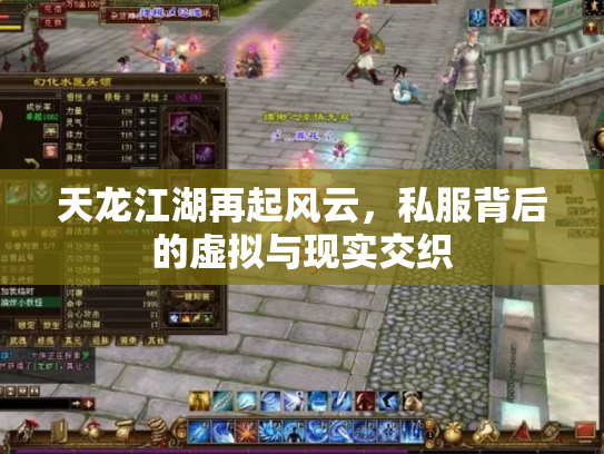 天龙江湖再起风云，私服背后的虚拟与现实交织