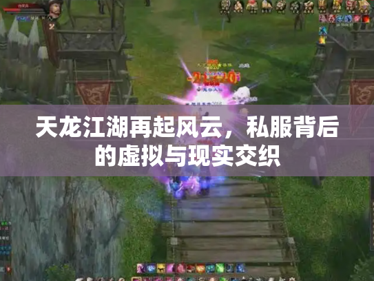 天龙江湖再起风云，私服背后的虚拟与现实交织