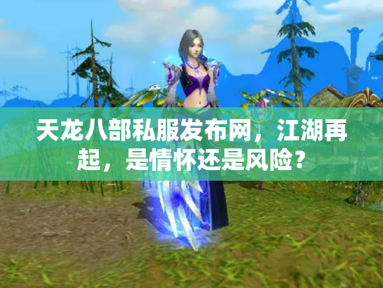 天龙八部私服发布网，江湖再起，是情怀还是风险？