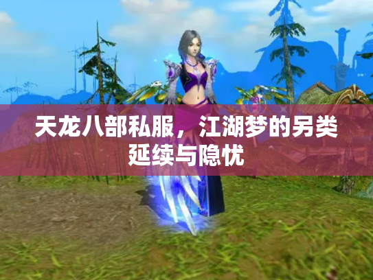 天龙八部私服，江湖梦的另类延续与隐忧