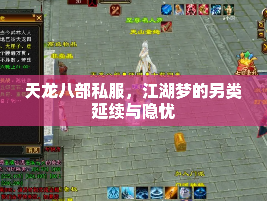 天龙八部私服，江湖梦的另类延续与隐忧