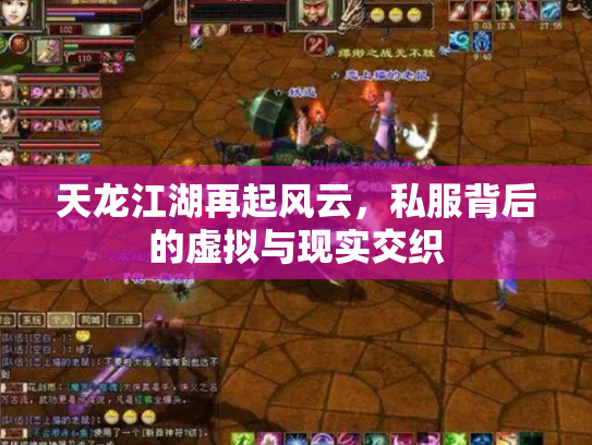 天龙江湖再起风云，私服背后的虚拟与现实交织