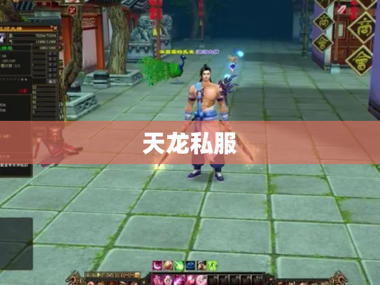 天龙私服