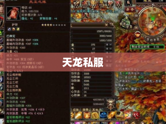 天龙私服