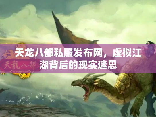 天龙八部私服发布网，虚拟江湖背后的现实迷思