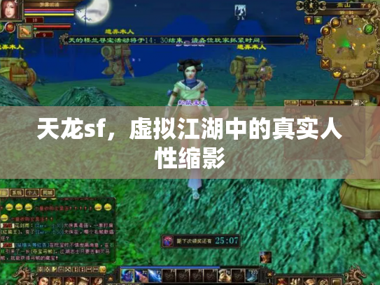 天龙sf，虚拟江湖中的真实人性缩影