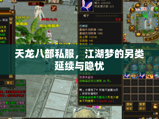 天龙八部私服，江湖梦的另类延续与隐忧