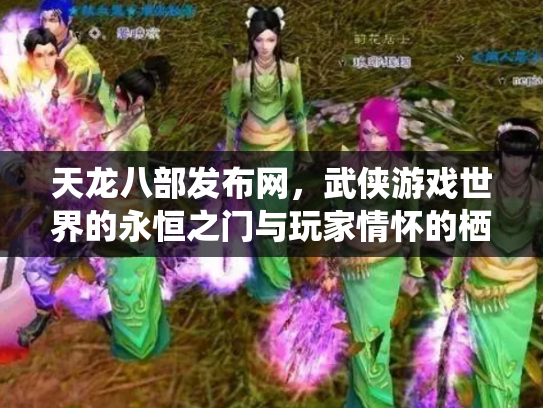 天龙八部发布网，武侠游戏世界的永恒之门与玩家情怀的栖息地