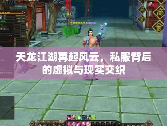 天龙江湖再起风云，私服背后的虚拟与现实交织