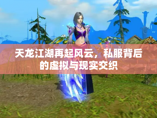 天龙江湖再起风云，私服背后的虚拟与现实交织