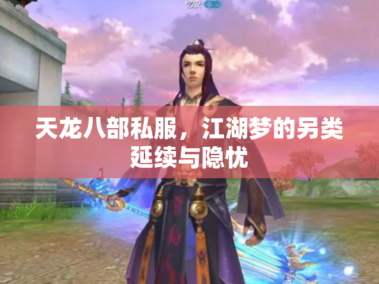 天龙八部私服，江湖梦的另类延续与隐忧