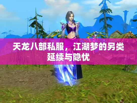 天龙八部私服，江湖梦的另类延续与隐忧