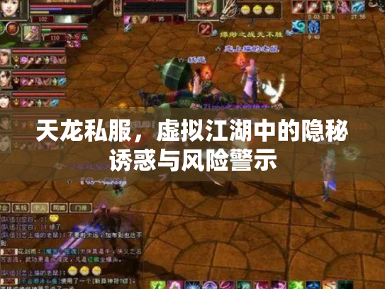 天龙私服，虚拟江湖中的隐秘诱惑与风险警示
