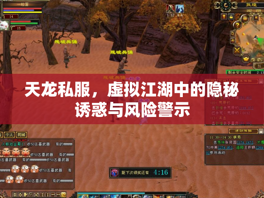 天龙私服，虚拟江湖中的隐秘诱惑与风险警示