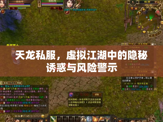 天龙私服，虚拟江湖中的隐秘诱惑与风险警示