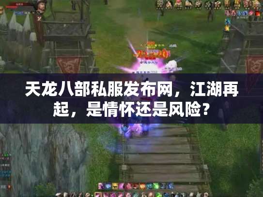 天龙八部私服发布网，江湖再起，是情怀还是风险？